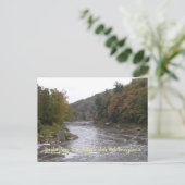 Carte postale Yough automne (Debout devant)