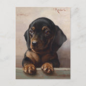 Carte Postale Young Dachshund | Carl Reichert (Devant)