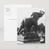 Carte Postale Young Elephant pris dans un piège (Devant / Derrière)