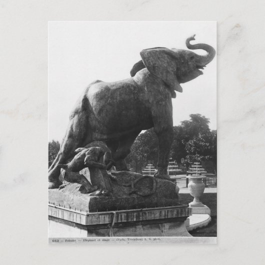 Carte Postale Young Elephant pris dans un piège (Devant)
