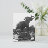 Carte Postale Young Elephant pris dans un piège (Debout devant)