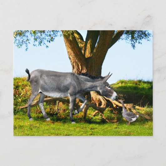 Carte postale "Young Eno & Henri" (Devant)