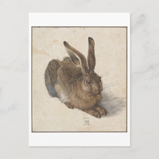 Carte Postale Young Hare par Albrecht Durer (Devant)