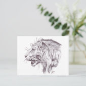 CARTE POSTALE YOUNG LION (Debout devant)