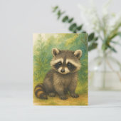 Carte postale Young Raccoon Baby Wild Animaux (Debout devant)