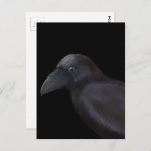 Carte Postale Young Raven (Devant / Derrière)