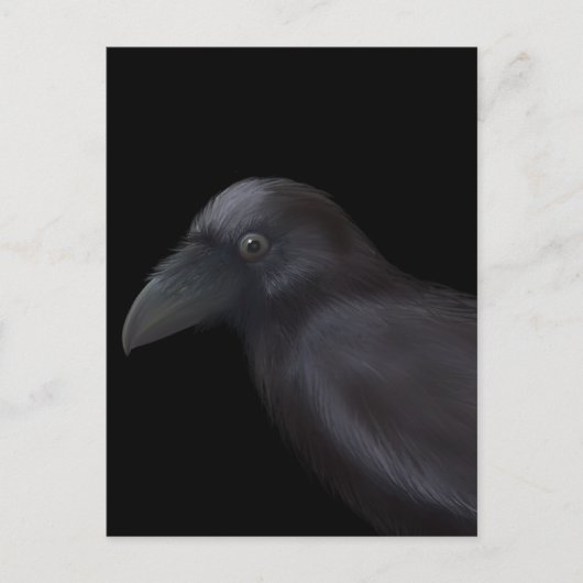 Carte Postale Young Raven (Devant)