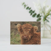 Carte Postale Young Scottish Highlander (Debout devant)