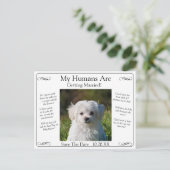 Carte Postale Your Pet Photo Save The Date Black White Infinity (Debout devant)