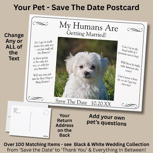 Carte Postale Your Pet Photo Save The Date Black White Infinity