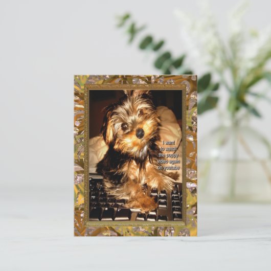 Carte Postale YouTube Yorkie (Debout devant)