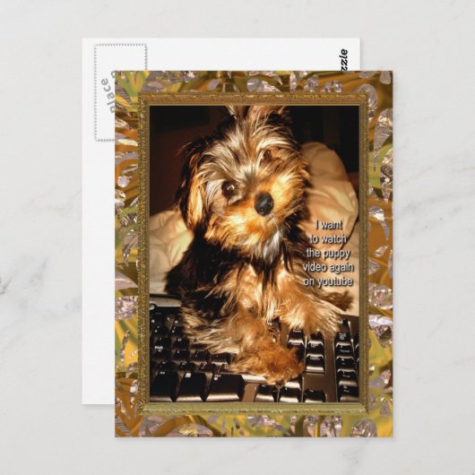 Carte Postale YouTube Yorkie (Devant / Derrière)