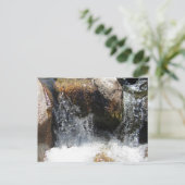 Carte Postale Yuba (Debout devant)