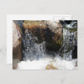 Carte Postale Yuba (Devant / Derrière)