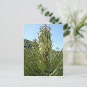 Carte Postale Yucca en fleurs (Debout devant)