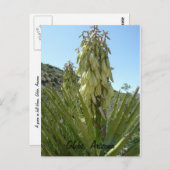 Carte Postale Yucca en fleurs (Devant / Derrière)