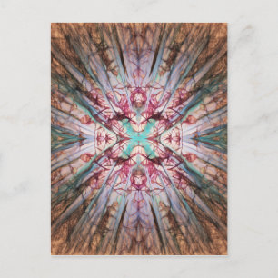 Carte Postale Yucca Lueur Chaude