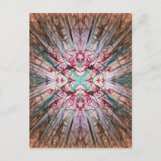 Carte Postale Yucca Lueur Chaude (Devant)
