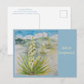 Carte postale Yucca Soapweed (Devant / Derrière)