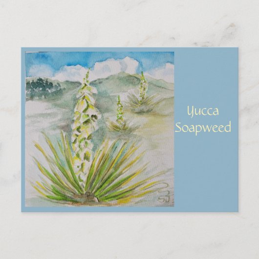 Carte postale Yucca Soapweed (Devant)