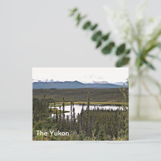 Carte Postale Yukon Pond (Debout devant)