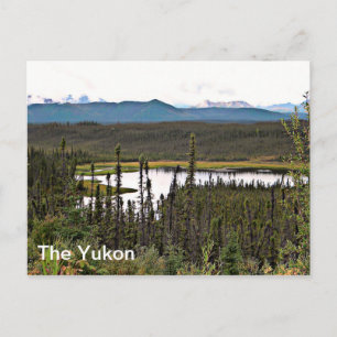 Carte Postale Yukon Pond