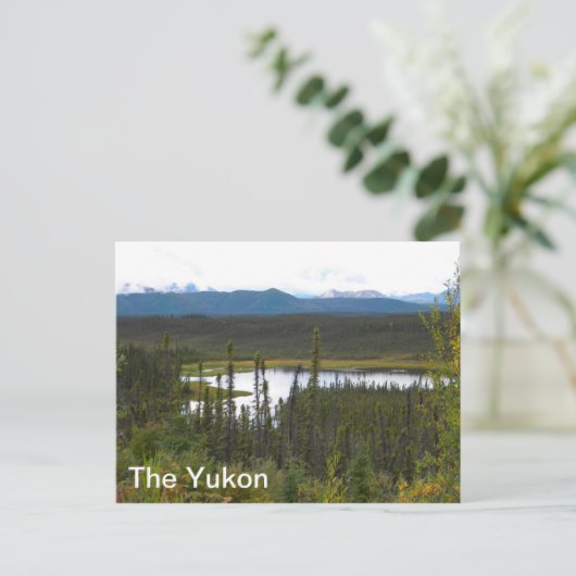 Carte Postale Yukon Pond (Debout devant)