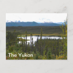 Carte Postale Yukon Pond