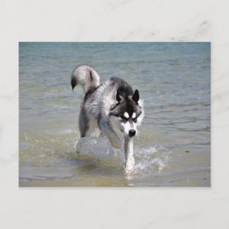 Carte Postale YukonWasser