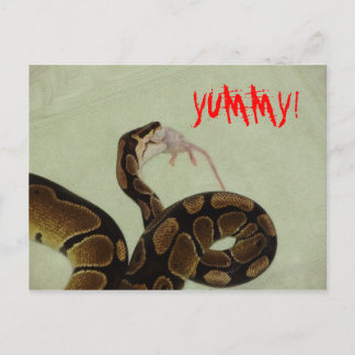 Carte Postale Yummy