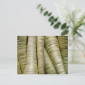 Carte Postale Yummy Parsnips (Debout devant)