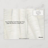 Carte Postale Yummy Parsnips (Dos)