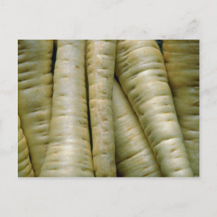 Carte Postale Yummy Parsnips