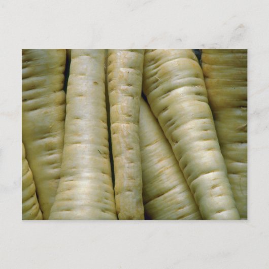 Carte Postale Yummy Parsnips (Devant)