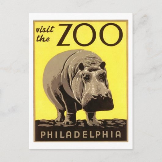 Carte Postale Z00 - Hippo (Devant)