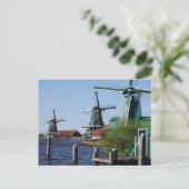 Carte Postale Zaanse Schans Moulins néerlandais en vert et blanc (Debout devant)