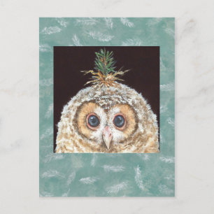 Carte postale Zane (owlet w jack pine)