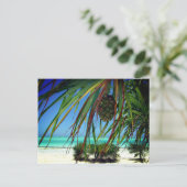 Carte Postale Zanzibar, Afrique (Debout devant)