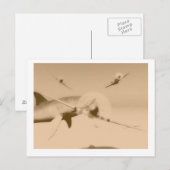 Carte Postale zazzle (Devant / Derrière)