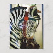 Carte postale Zebra (Devant)