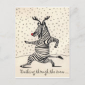 CARTE POSTALE ZEBRA (Devant)