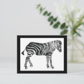 Carte postale Zebra (Debout devant)