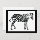 Carte postale Zebra (Devant / Derrière)