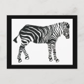 Carte postale Zebra (Devant)
