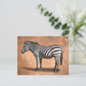 CARTE POSTALE ZEBRA (Debout devant)