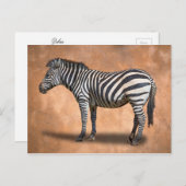 CARTE POSTALE ZEBRA (Devant / Derrière)
