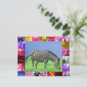 Carte postale Zebra (Debout devant)
