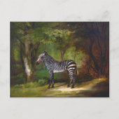 Carte Postale Zebra (1763) peinture de George Stubbs (Devant)