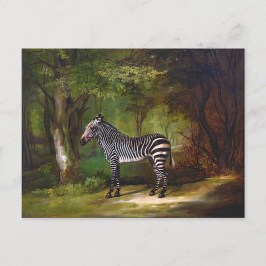 Carte Postale Zebra (1763) peinture de George Stubbs (Devant)