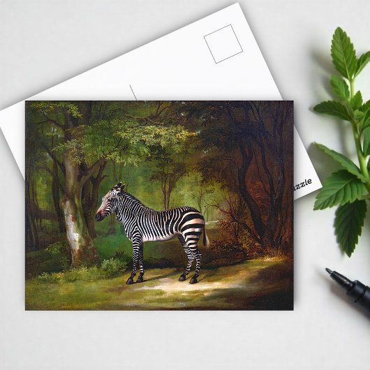 Carte Postale Zebra (1763) peinture de George Stubbs